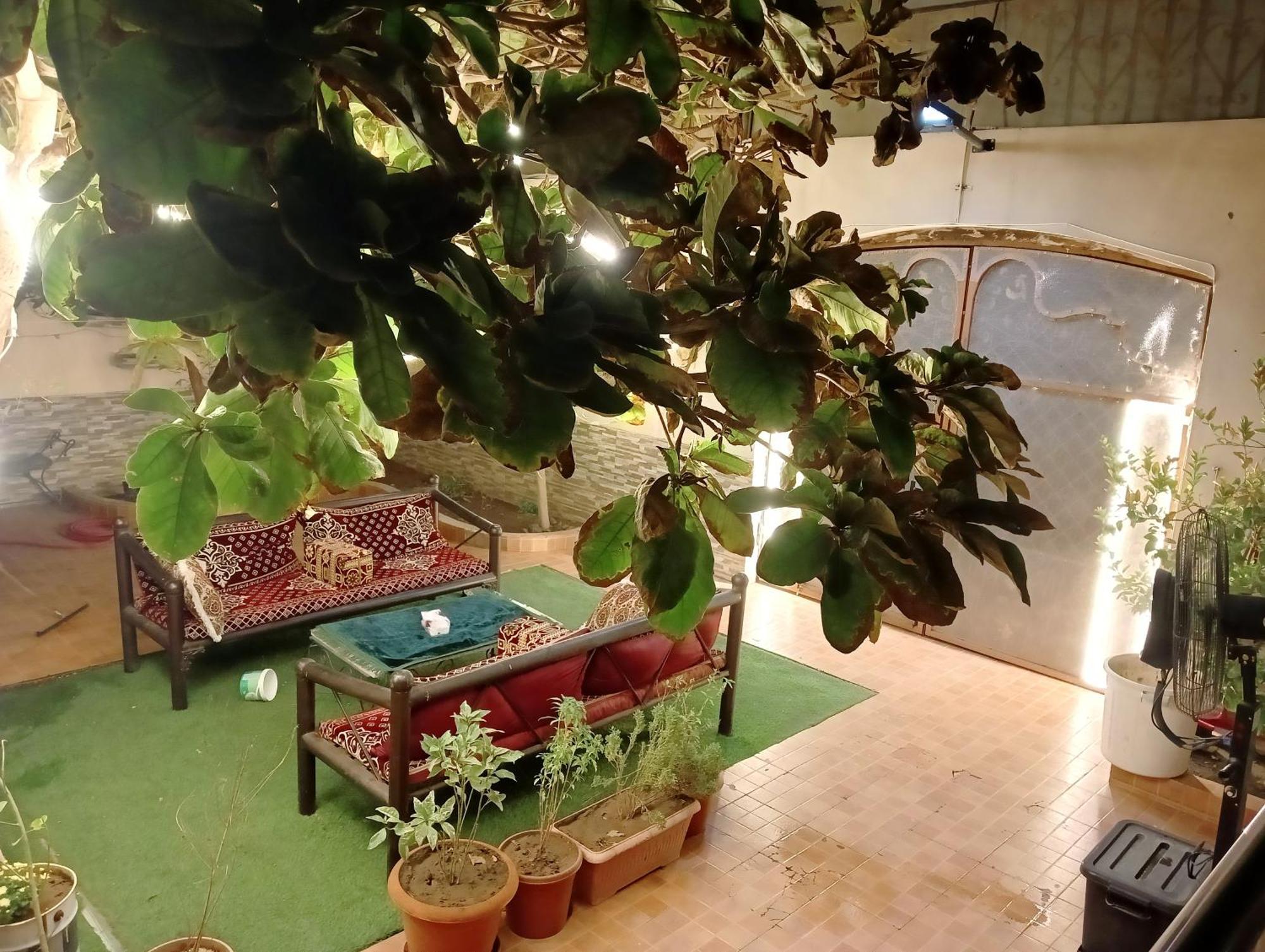 Villa Marmara 메디나 외부 사진