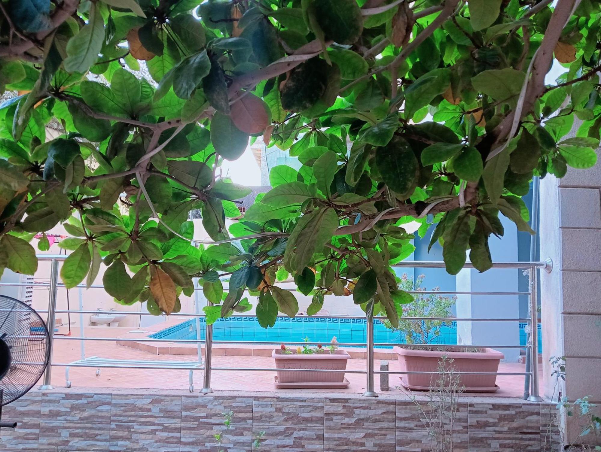 Villa Marmara 메디나 외부 사진